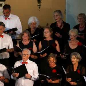 Romantiek in de zomer, uitvoering, Marja de Boer  